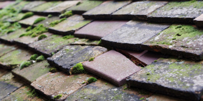 Portslade roof repair costs